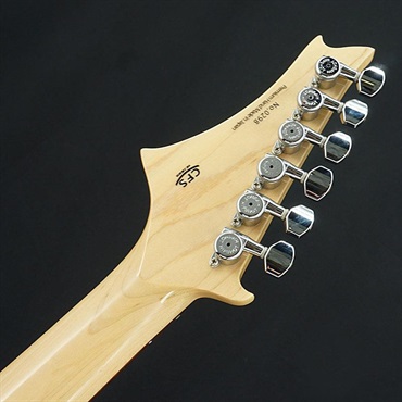 G-Life Guitars USED 中古 G-Life Guitars DSG Life-Ash (Royal Blue Turquoise)［SN.0298］ ジーライフ 画像7