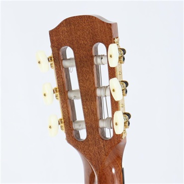 K.Yairi CTM CE-3D Select Cedar Top ～Ikebe Original Order Model～ Kヤイリ 画像5