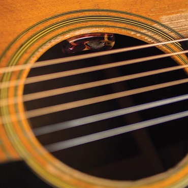L.R.Baggs 【旧パッケージ特価】【史上最大決算セール】Lyric [Acoustic Guitar Microphone] 画像4