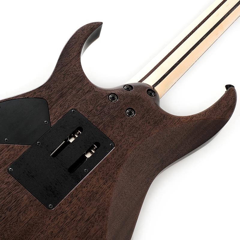 Ibanez j.custom RG8620AH-BQZ (Black Quartz) 画像5