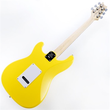 P.R.S. SE Silver Sky Rosewood (Dandy Lion) [John Mayer Model] 画像2