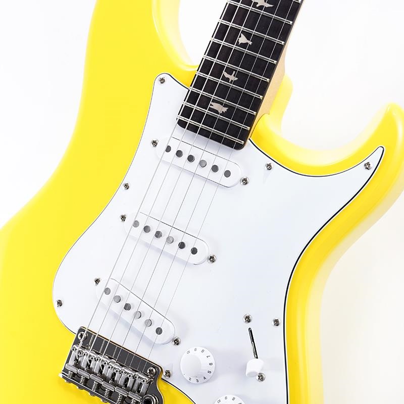 P.R.S. SE Silver Sky Rosewood (Dandy Lion) [John Mayer Model] 画像3