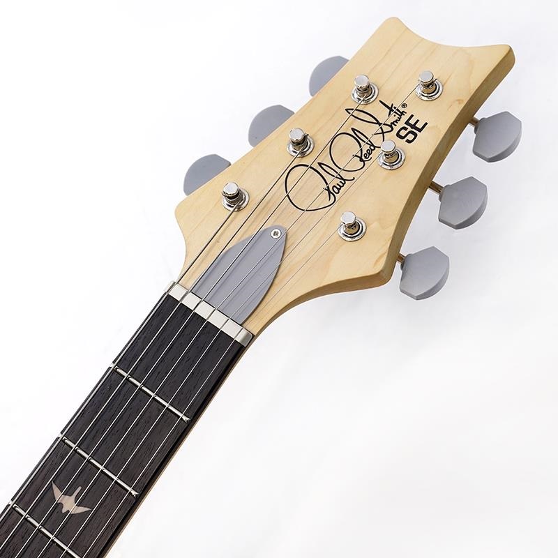 P.R.S. SE Silver Sky Rosewood (Dandy Lion) [John Mayer Model] 画像8