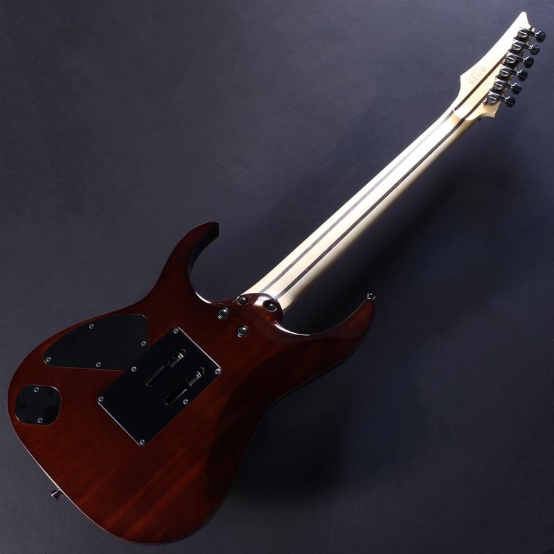 Ibanez j.custom Axe Design Lab RG8870-BSR (Brownish Sphalerite) [SPOT MODEL] #F2422044 画像5