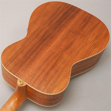 MATON EBG808 Artist #29852 メイトン 画像5