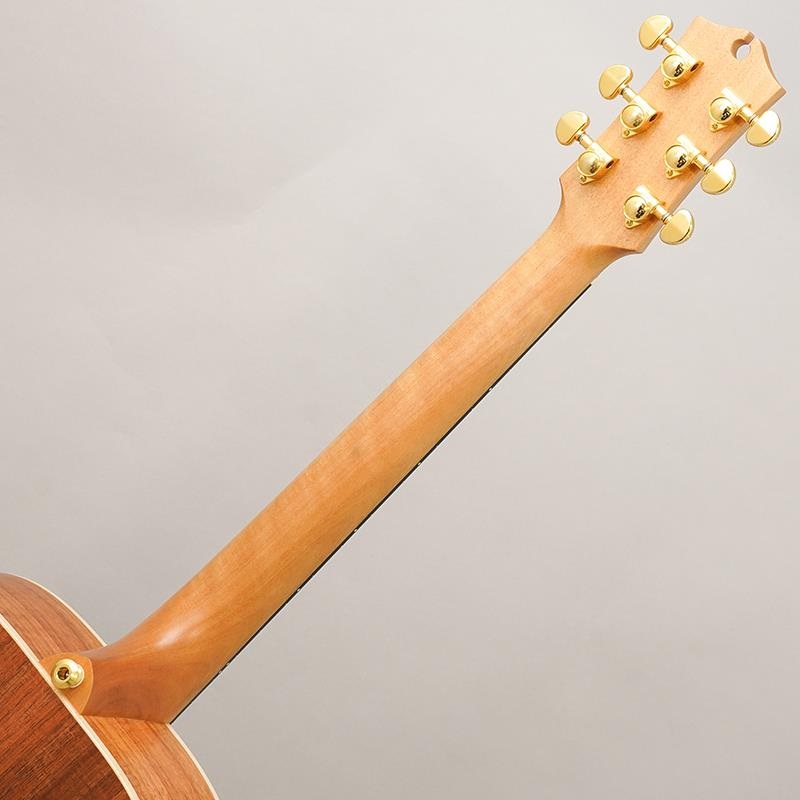 MATON EBG808 Artist #29852 メイトン 画像9