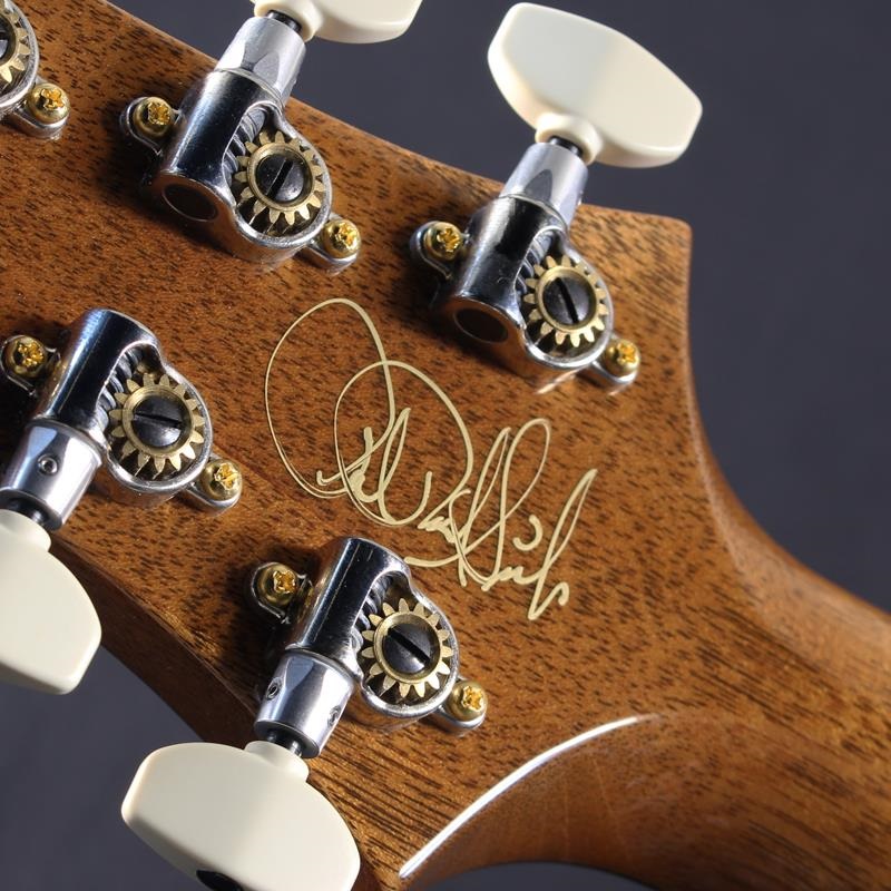 P.R.S. 【Paul Reed Smith氏サイン入り！！】McCarty 594 Hollowbody II 10 Top (Red Tiger) #24 0399132 画像6