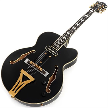 Ibanez ARTSTAR PM3C-BKL (Black Low Gloss) [Pat Metheny Model] [SPOT MODEL] 画像1