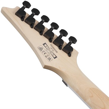 Ibanez RG450DXB-WH (White) 画像5