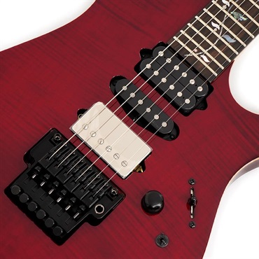 Ibanez j.custom Axe Design Lab RG8870-AGT SN.F2503300 画像3