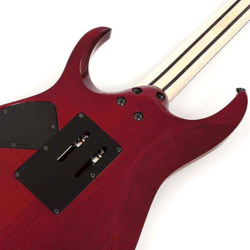 Ibanez j.custom Axe Design Lab RG8870-AGT SN.F2503300 画像5