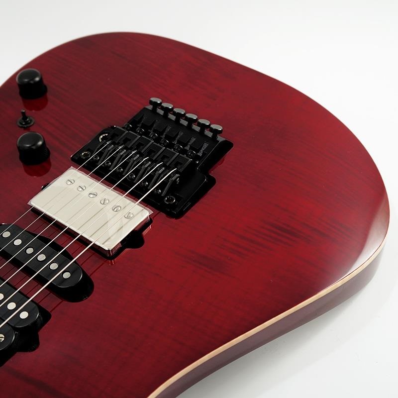 Ibanez j.custom Axe Design Lab RG8870-AGT SN.F2503300 画像9