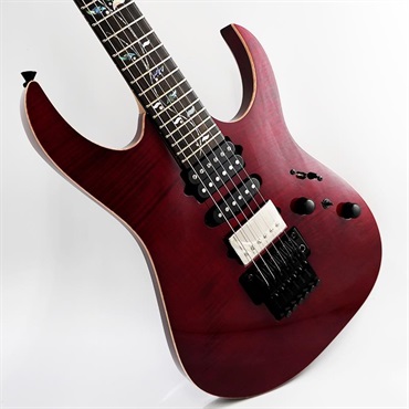 Ibanez j.custom Axe Design Lab RG8870-AGT SN.F2503300 画像10