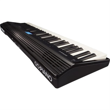 Roland GO:PIANO Entry Keyboard (GO-61P)+CB-GO61（専用キャリングケースセット） レインカバー付き 画像2