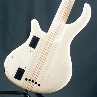 MAYONES USED 中古 Patriot MR5 Fretless Maurizio Rolli Signature 画像1