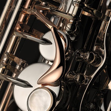 YANAGISAWA 【プリマ楽器創業80周年記念限定モデル】アルトサックス プリマ・ヤナギサワ 「孔雀の誇り」（Kujaku-no-Hokori）【調整&セットアップ後出荷】【5年間キーバランス調整無料】 画像3