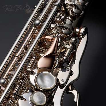 YANAGISAWA 【プリマ楽器創業80周年記念限定モデル】ソプラノサックス プリマ・ヤナギサワ 「孔雀の誇り」（Kujaku-no-Hokori）【調整&セットアップ後出荷】【5年間キーバランス調整無料】 画像3