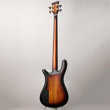 Warwick Custom Shop Streamer Stage I 4st (Vintage Sunburst Transparent Satin/Gold Hardware) 画像3