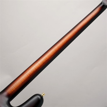 Warwick Custom Shop Streamer Stage I 4st (Vintage Sunburst Transparent Satin/Gold Hardware) 画像5