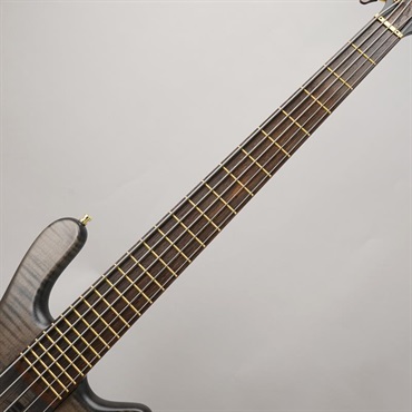 Warwick Custom Shop Streamer Stage I 5st (Nirvana Black Transparent Satin/Gold Hardware) 画像4