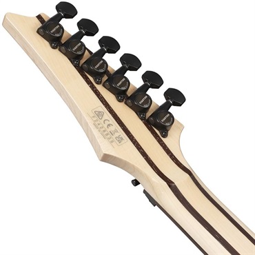 Ibanez j.custom Axe Design Lab RG8870-SDE (Sodalite) [SPOT MODEL] 画像5