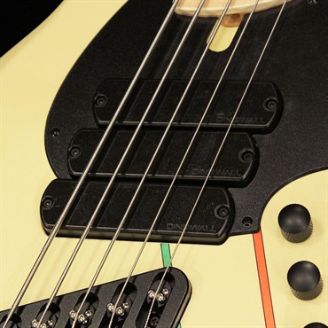 DINGWALL JT-3 5st / John Taylor Signature Model (Primrose) 画像2