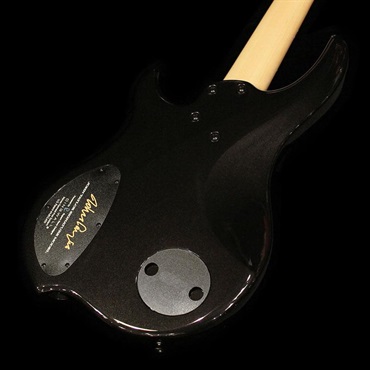 DINGWALL JT-3 5st / John Taylor Signature Model (Metallic Black) 画像5