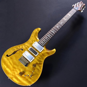 P.R.S. Ikebe 50th Anniversary Wood Library Special Semi-Hollow (Honey Gold) #25 0402029 画像1