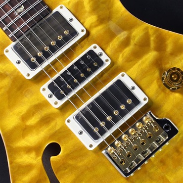 P.R.S. Ikebe 50th Anniversary Wood Library Special Semi-Hollow (Honey Gold) #25 0402029 画像3