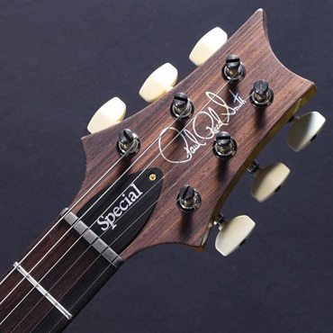 P.R.S. Ikebe 50th Anniversary Wood Library Special Semi-Hollow (Honey Gold) #25 0402029 画像4