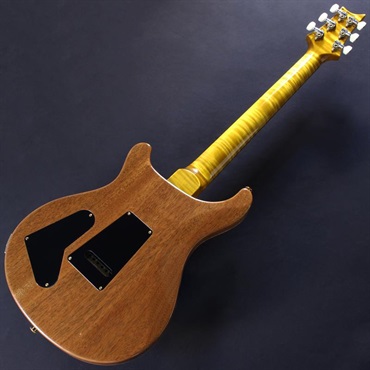 P.R.S. Ikebe 50th Anniversary Wood Library Special Semi-Hollow (Honey Gold) #25 0402029 画像5