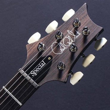 P.R.S. Ikebe 50th Anniversary Wood Library Special Semi-Hollow (Teal) #25 0404323 画像4