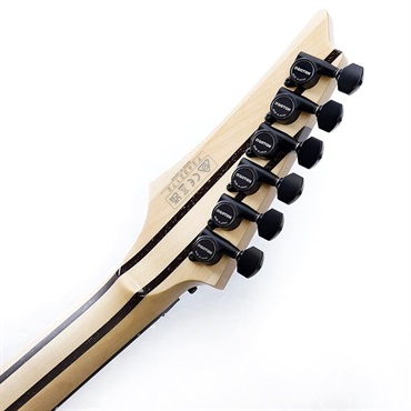 Ibanez j.custom Axe Design Lab RG8870-SDE (Sodalite) [SPOT MODEL]  SN.F2432172 画像9