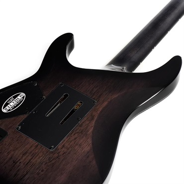 SCHECTER Hellraiser Hybrid C-1 FR [AD-C-1-FR-HR-HB] (TBB) 画像5