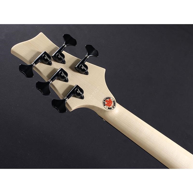 F-bass BN5-ZE Macassar Ebony Fingerboard， Hipshot A Style Bridge 画像8