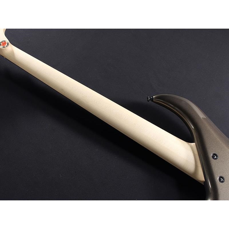 F-bass BN5-ZE Macassar Ebony Fingerboard， Hipshot A Style Bridge 画像9