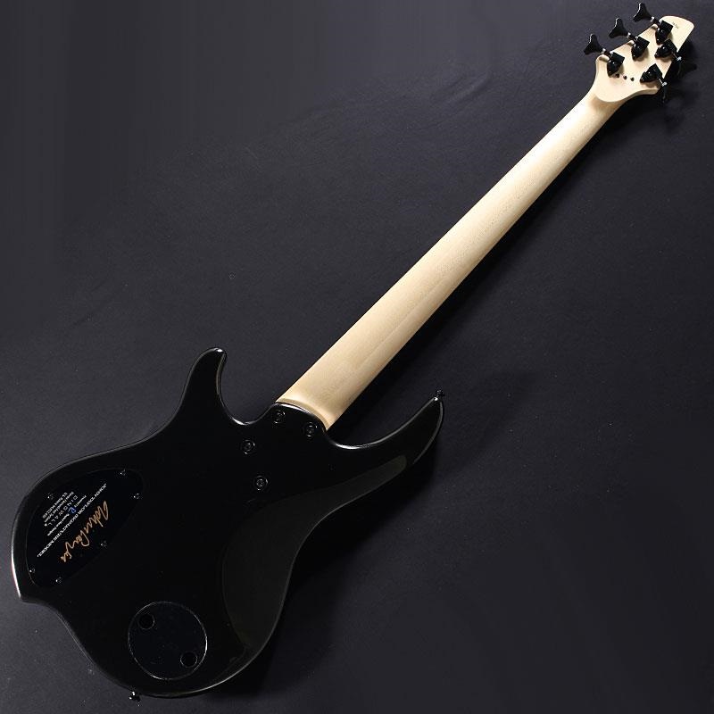 DINGWALL JT-3 5st John Taylor Signature Model (Metallic Black/PF) 画像1