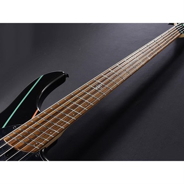 DINGWALL JT-3 5st John Taylor Signature Model (Metallic Black/PF) 画像6