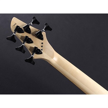 DINGWALL JT-3 5st John Taylor Signature Model (Metallic Black/PF) 画像8