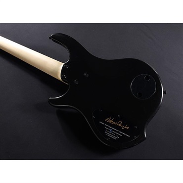 DINGWALL JT-3 5st John Taylor Signature Model (Metallic Black/PF) 画像10