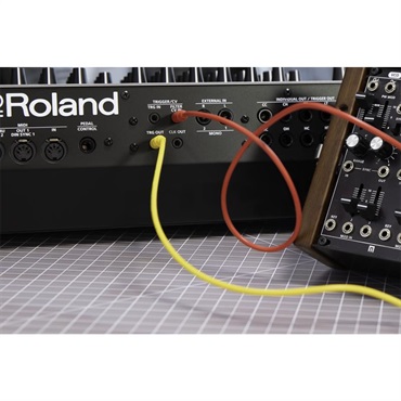 Roland (予約商品・2026年以降・入荷時期完全未定)TR-1000 RHYTHM CREATOR ローランド リズムクリエイター TR1000 画像8