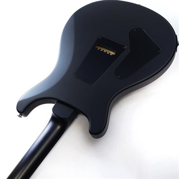 P.R.S. 【「THE IKEBE PRS VAULT」オープン記念キャンペーン】 40th Anniversary Custom 24 Satin Limited Edition (Fire Smokeburst) SN.0408107 2025年生産品 画像6