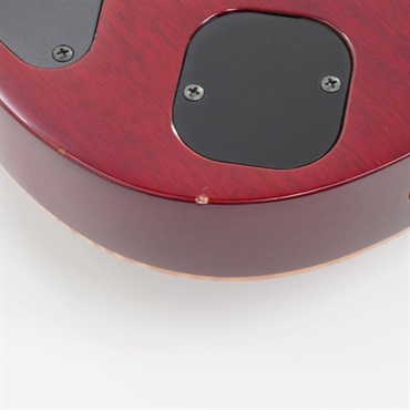 Ibanez USED 中古 j.custom RG8570Z-AGT [SN. F1903915] 画像10