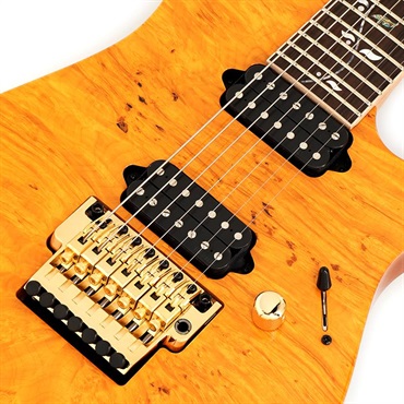 Ibanez Ikebe 50th Anniversary j.custom IKRG85271 (Burl Maple Top) SN.F2506459 画像3