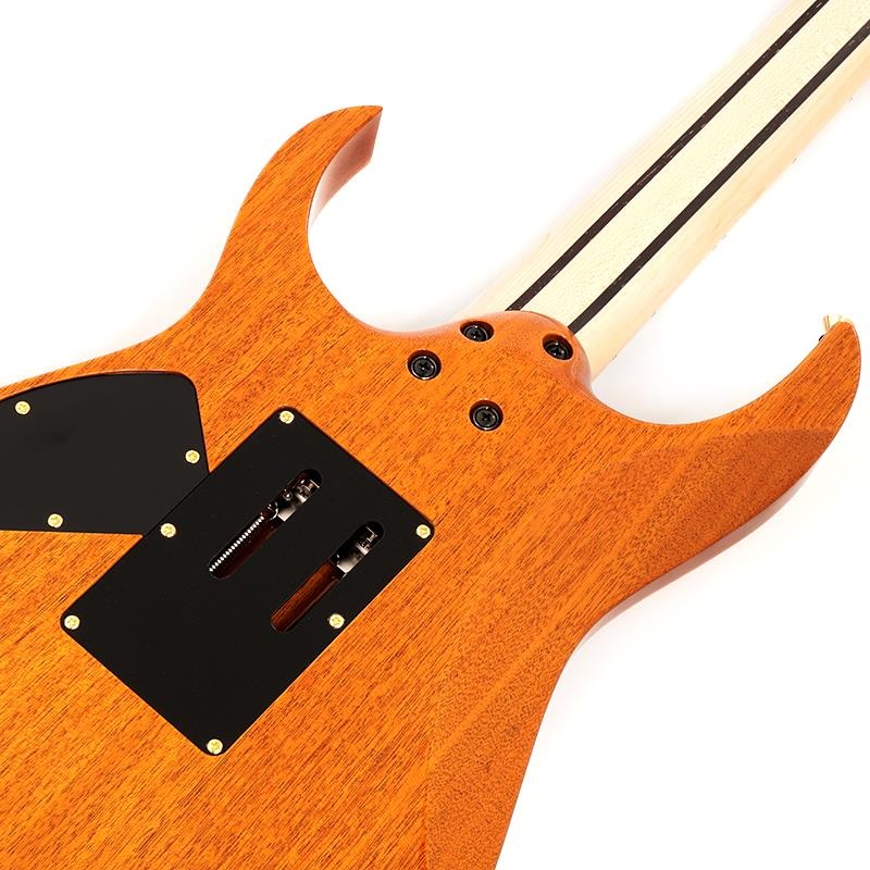 Ibanez Ikebe 50th Anniversary j.custom IKRG85271 (Burl Maple Top) SN.F2506459 画像5