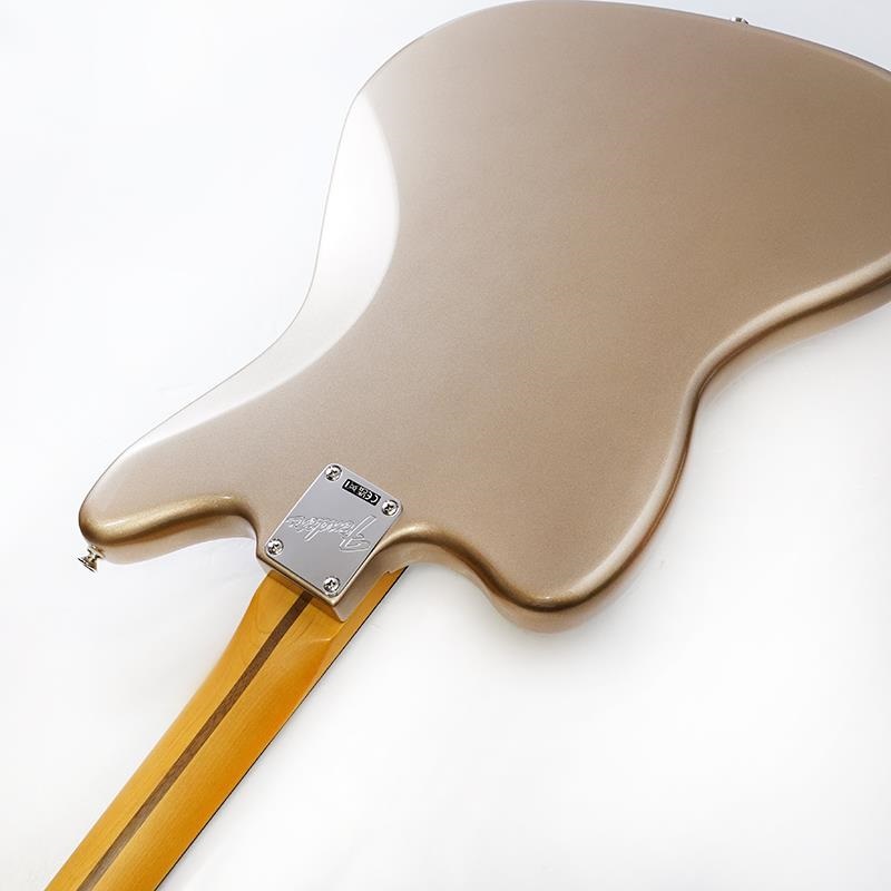 Fender USA American Professional Classic Jaguar (Faded Firemist Gold/Rosewood) 画像6