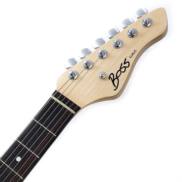 BOSS Vギタープロセッサー VG-800＆GS-1 GK5-KIT-G6 MOD Perfect SET限定！ 画像6