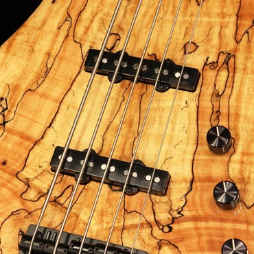 Sadowsky Guitars USED 中古 NYC Standard 5st/21F (Spalted Maple Top) '14 NAMM Model 画像2