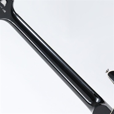 P.R.S. SE Hollowbody II Piezo (Peacock Blue) 画像6