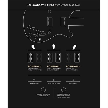 P.R.S. SE Hollowbody II Piezo (Vintage Sunburst) 画像9